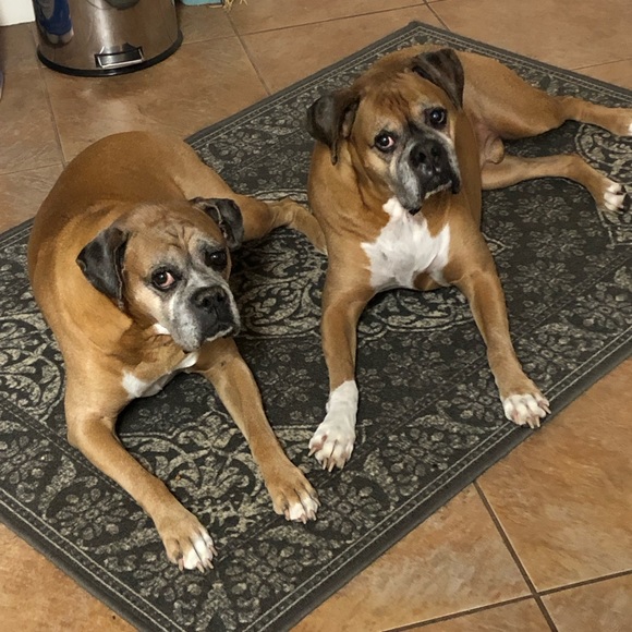 OVER 5LBS ADDITIONAL CHARGE. - Picture 6 of 9